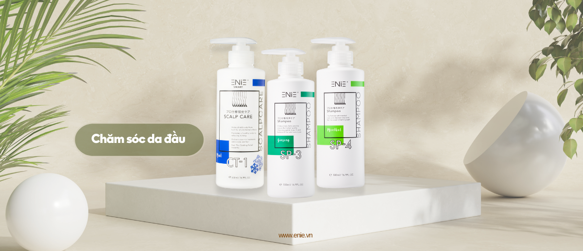 www.enie.vn (2)